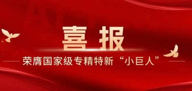 开云体育荣膺国家级专精特新“小巨人”